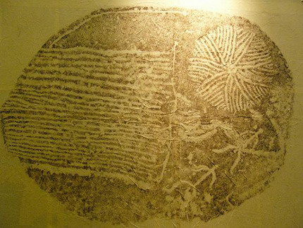 Người giải mã bí ẩn bãi đá cổ Sapa