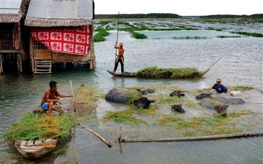 "Biến đổi khí hậu và ảnh hưởng tới Việt Nam"