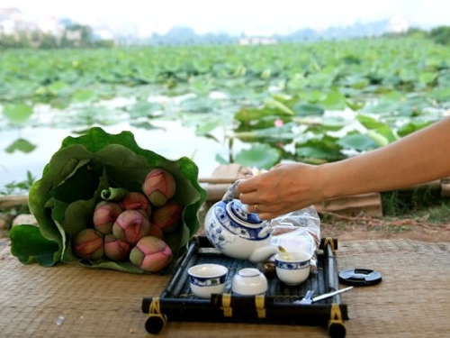 Chén trà người Hà Nội