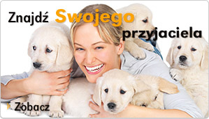 Ba Lô muốn được chia buồn