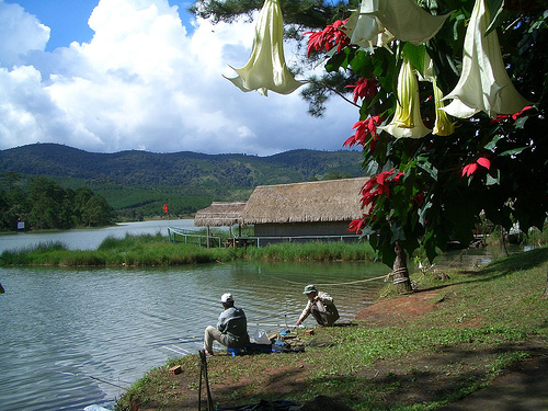 Vì không đủ cho hai người