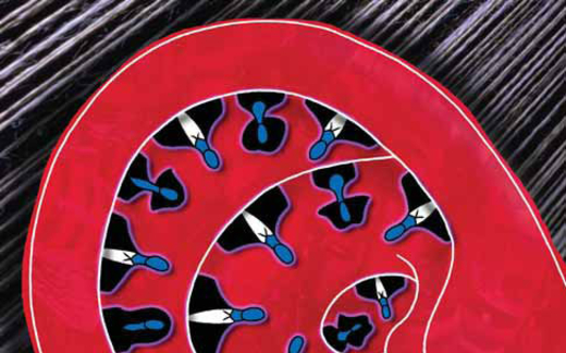 Tái cơ cấu DDNN: Nói nhiều, chưa làm được bao nhiêu