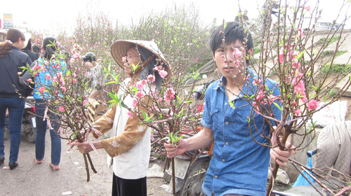 Hà Nội: Đào, hoa đều giảm giá
