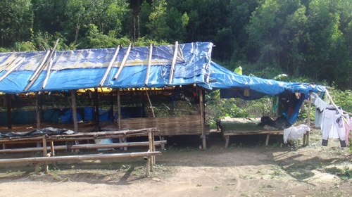 Những kiểu "bán sống" con người - Kỳ 2