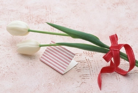 Truyện Tình toàn T