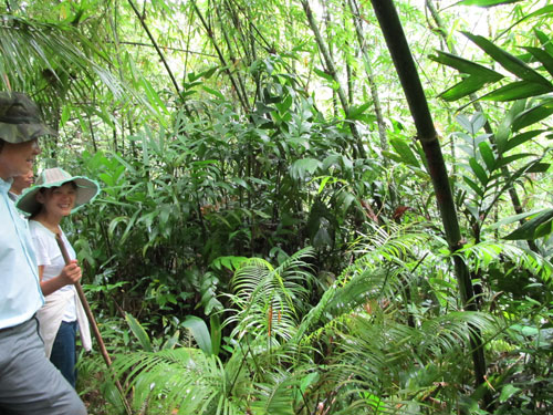 Dự án thủy điện Đồng Nai 6, 6A: Quốc hội sẽ yêu cầu Chính phủ báo cáo