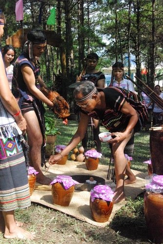 Men rừng xứ Mạ