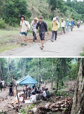 Đời phu trầm và luật rừng nghiệt ngã