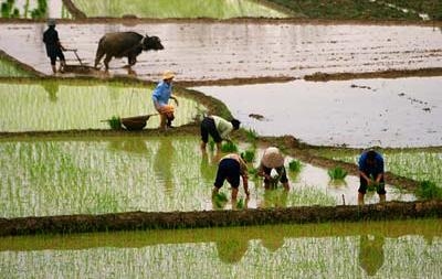 Công hữu đất đai không hợp với thời quá độ