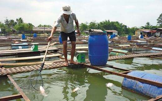 Vì sao TP.HCM giục Đồng Nai dời KCN Biên Hoà 1?