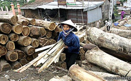 Đồ gỗ và rừng, so sánh Anh - Việt