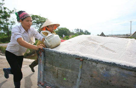 ‘Cái tát’ với ngành muối