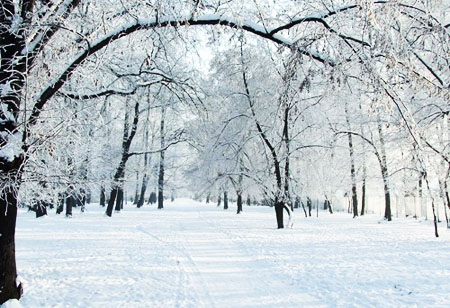 Tản văn: Những mùa tuyết đi qua