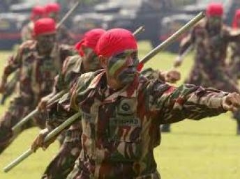 Mỹ và Indonesia tăng cường hợp tác quân sự