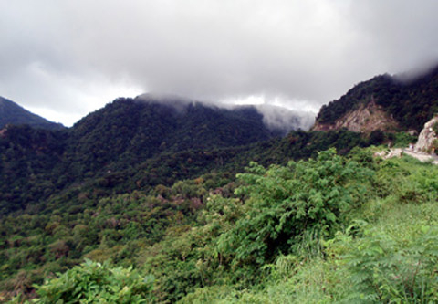 Chuyện ly kỳ về rắn khổng lồ nặng 300-400kg ở Bảy Núi