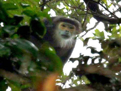 VACNE ủng hộ... phá môi trường!