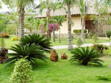 Hai ngày cuối tuần ở Cần Giờ