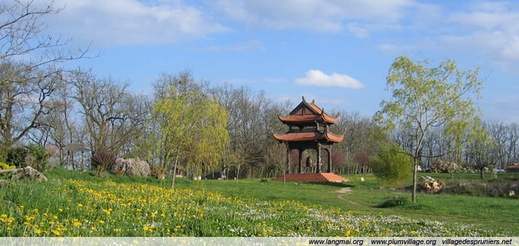 Lịch sử Làng Mai.