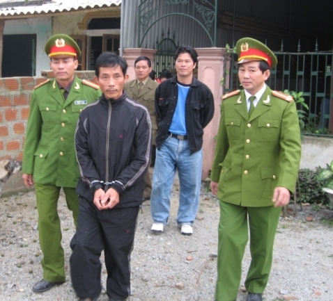 Nỗi oan tình của kiều nữ "động" Voi