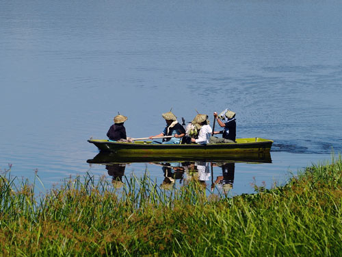 Nhát dao chọc vào Cát Tiên