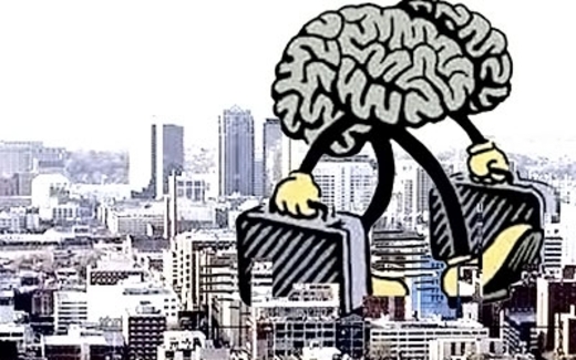 Người Việt, chất xám, đi về đâu?