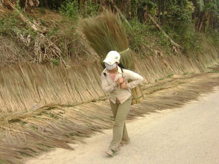 Nhức nhối chuyện học sinh bỏ học