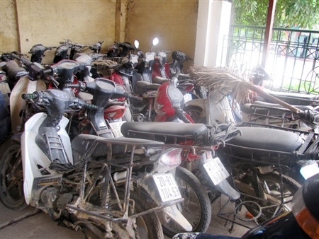 'Máu' rừng vẫn chảy vì lợi nhuận ngang... ma túy