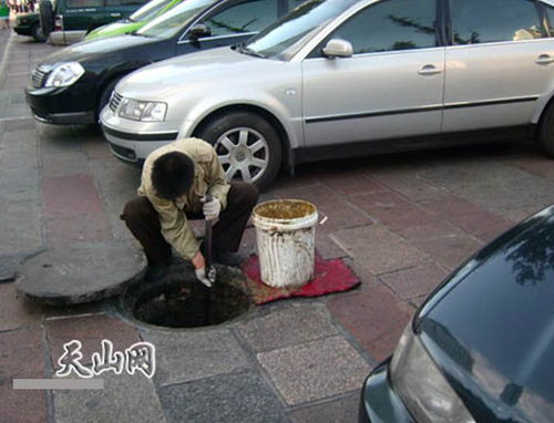 Chúng ta dùng "dầu rãnh" mà không biết?