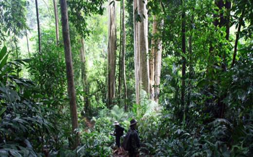 Thủy điện Đồng Nai 6; 6A: Lý lẽ khoa học dễ bị bác bỏ