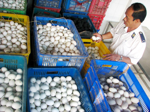 Cúm chết người đang lây lan