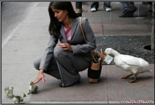 Giúp nhầm đạo chích