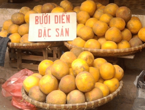 Đặc sản bưởi Diễn, chủ yếu là giả