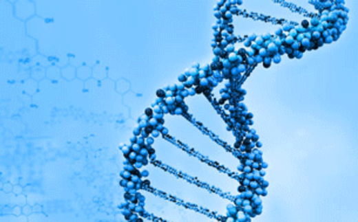 Việt Nam hoàn tất bản đồ gen đầu tiên