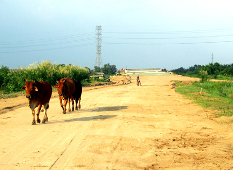 Cử tri TP HCM đề nghị sớm ngăn chặn cướp giật lộng hành