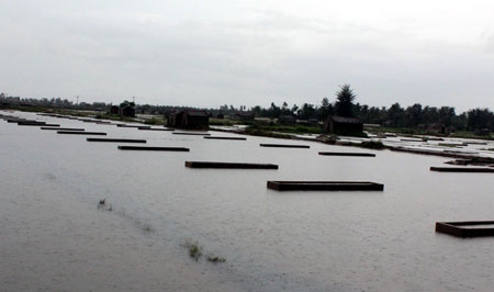 Nghệ An: 5 người chết vì mưa lũ, thiệt hại khoảng hơn 600 tỷ đồng