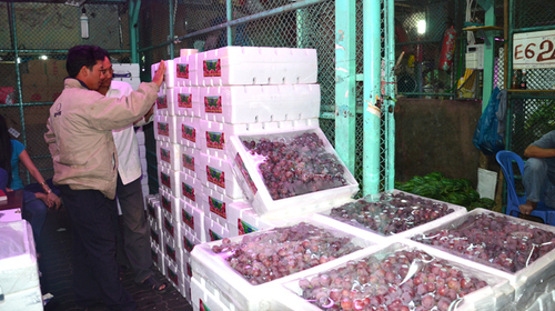 Kiểm tra chặt nho, khoai tây Trung Quốc