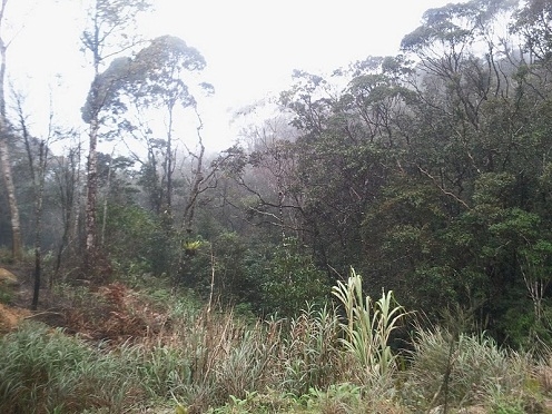 Khánh Hòa: Kỳ thú Hòn Bà