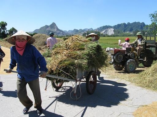 Thợ gặt thời di động…