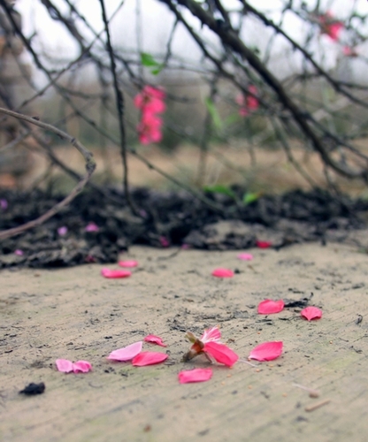 GẶP BẠN ĐẦU XUÂN