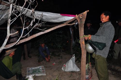 Thức trắng đuổi voi rừng