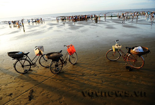 Bình minh cửa biển