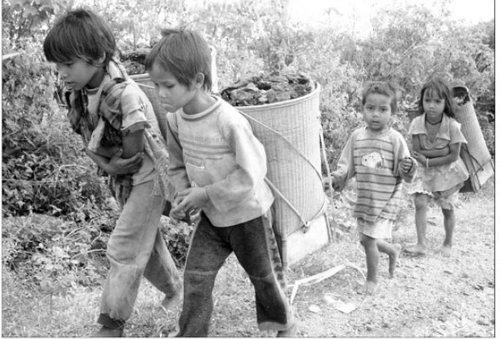 Nhặt phân bò… đổi chữ