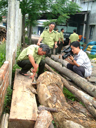 Lâm tặc - thủ đoạn và tội ác