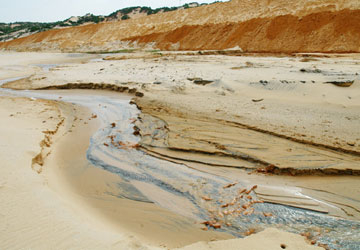 Dưới biển, trên bờ khổ vì titan