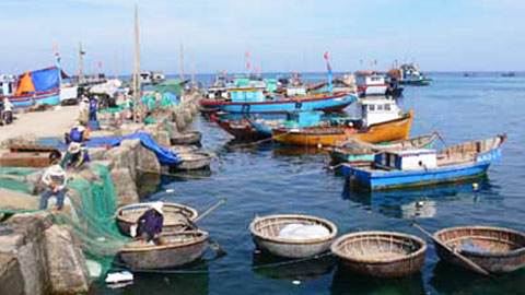 Phải quyết liệt, chuyện chẳng đặng đừng