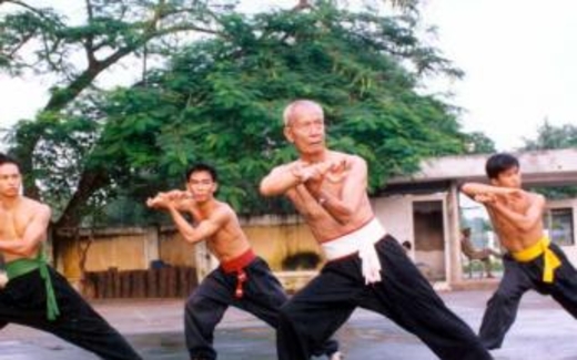 Võ thuật Việt nam : Làm sao khôi phục tinh thần Việt võ sĩ ?