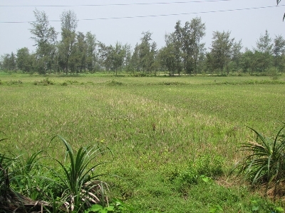 Những ngôi làng rỗng - Kỳ 4