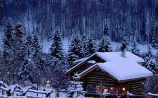 Năm nay nhà hàng xóm không đón Noel.