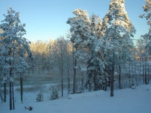 TUYẾT HAY NƯỚC MẮT