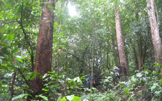 DỰ ÁN THỦY ĐIỆN 6 VÀ 6A: "Không thể lách luật, đạp lên lẽ phải..."